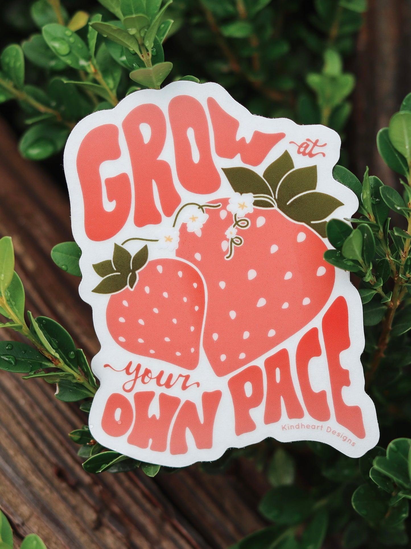 Grow At Your Own Pace Clear Strawberry Sticker
