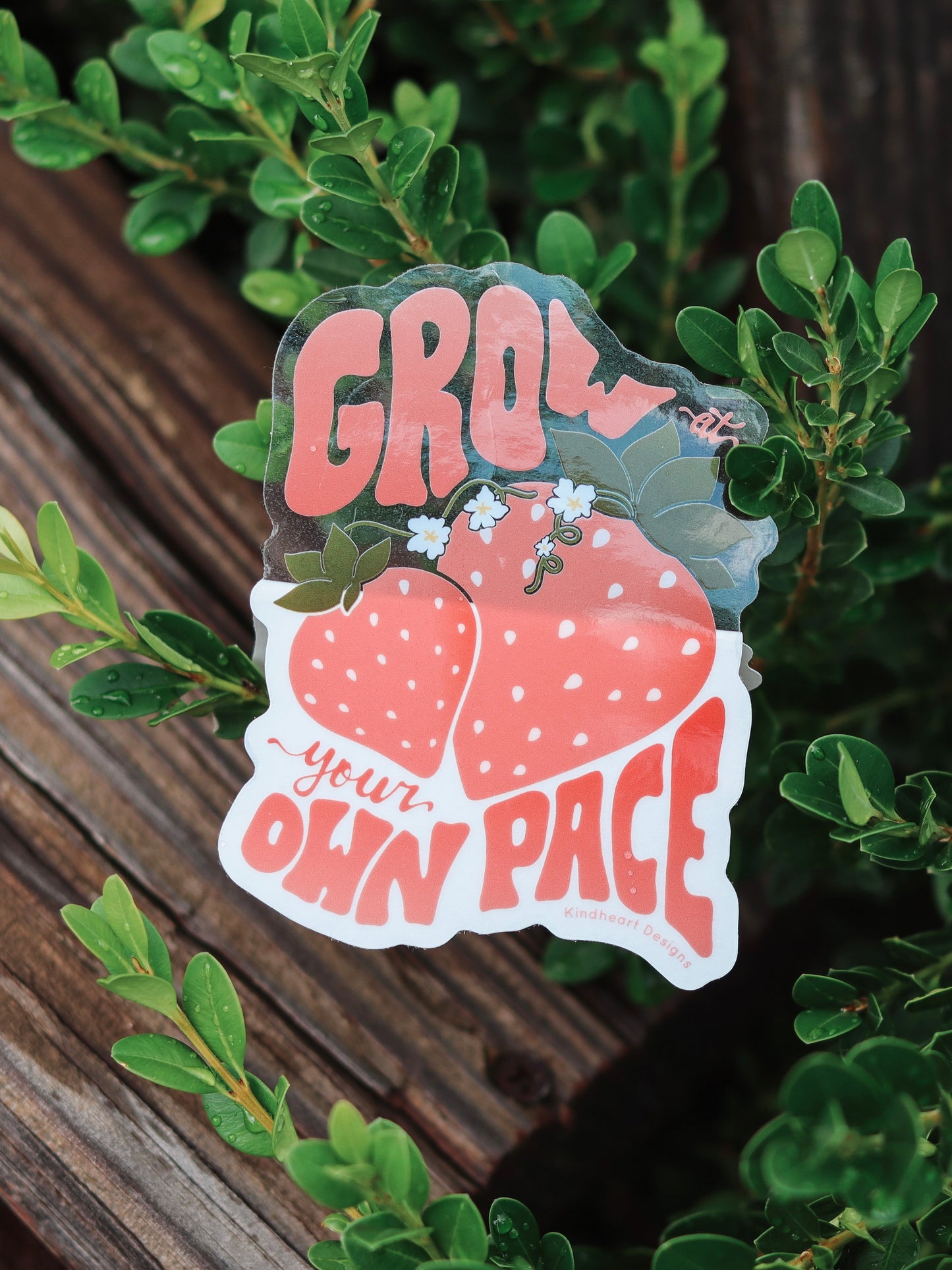 Grow At Your Own Pace Clear Strawberry Sticker