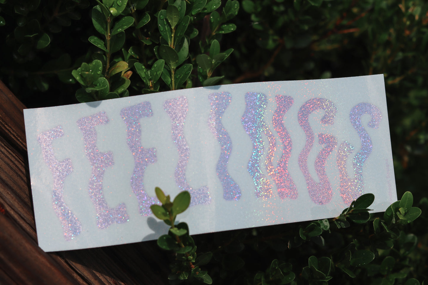 FEELINGS Bumper Sticker