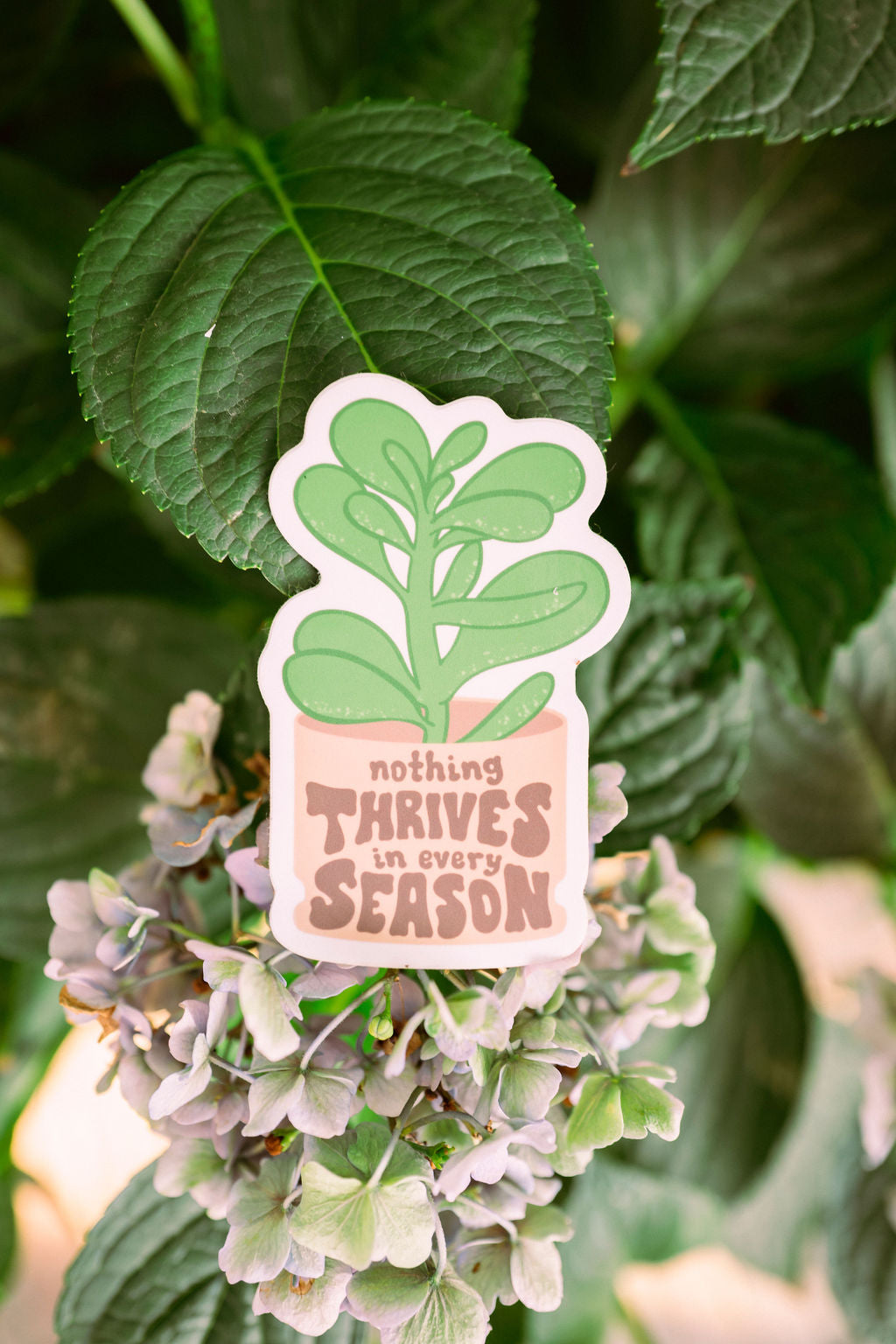Nothing Thrives in Every Season Sticker