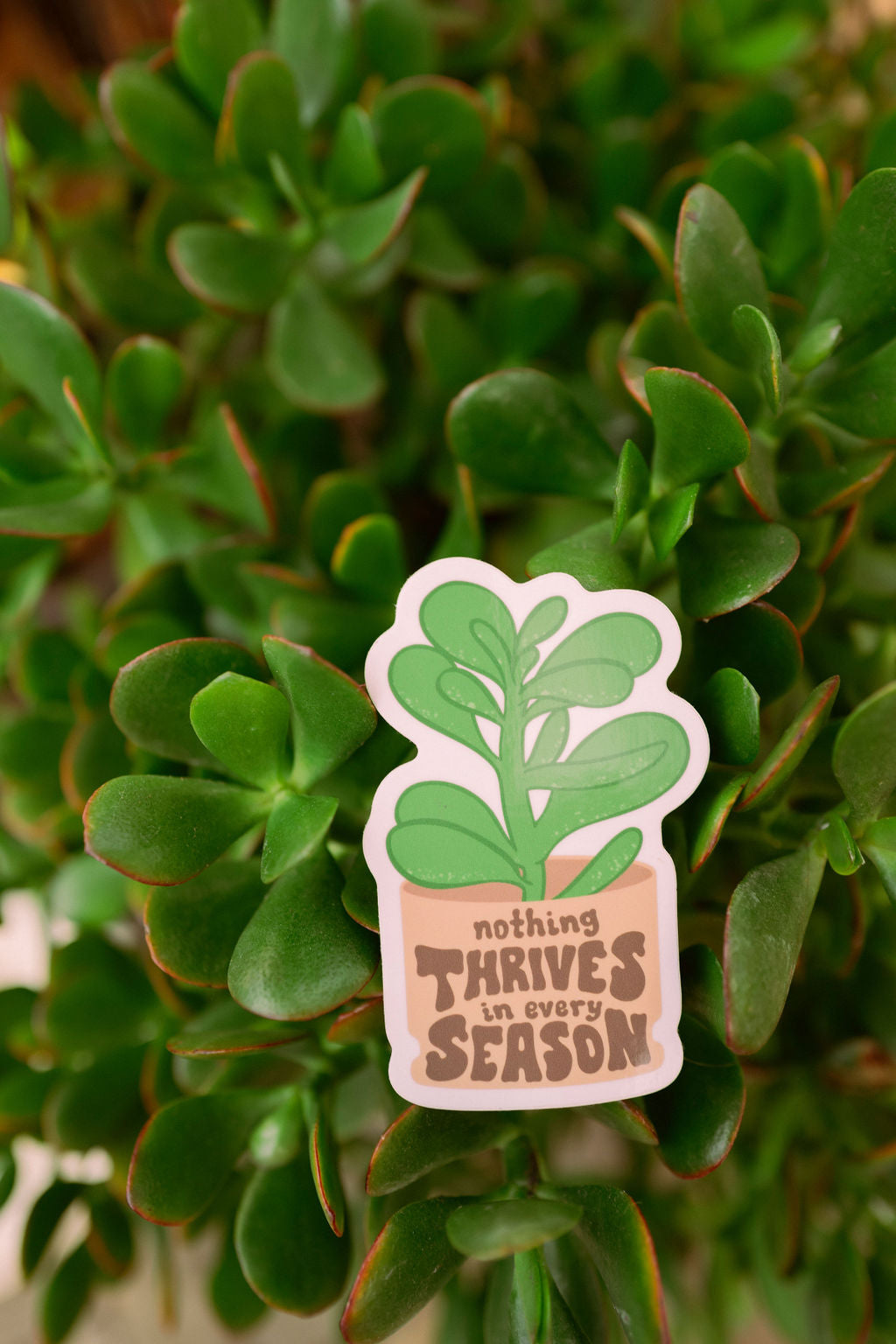 Nothing Thrives in Every Season Sticker